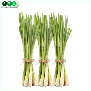 Lemongrass Essential Oil