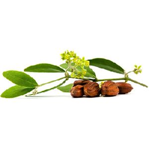 natural jojoba oil