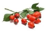 Rose Hip Seed Oil