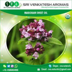 Sweet Marjoram Essential Oil