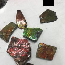 Ammolite raw rough natural stone