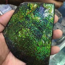 Natural stone Ammolite raw rough uncut