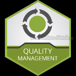 Management System Services