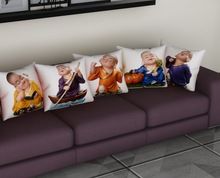 cartoon cushions cover