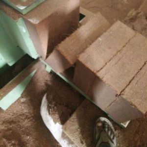 COCO PEAT WASHED 5 KG ORDINARY BLOCKS