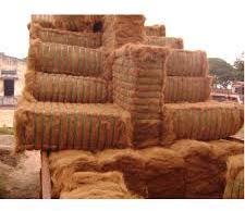 Coconut Brown Coir Fiber