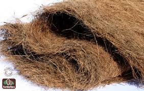 Coconut Fibre