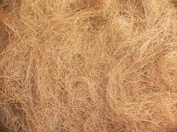 Coir Fiber