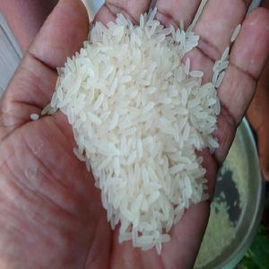 IR 64 Rice