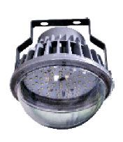 50 Watt High Bay Light