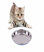 Food Cat Bowls