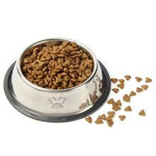 Stainless Steel Pet Feeding Embossed Bowl