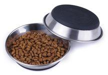 Stainless Steel Silicone Pet Dish Cat Bowl