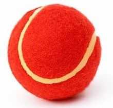 Cricket Ball