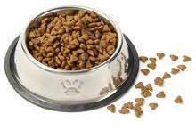 Pet Feeding Embossed Bowl