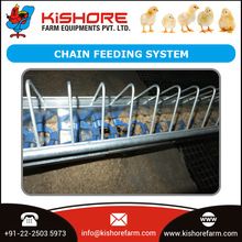 Broiler Chain Feeding System