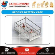 Broiler Poultry Battery