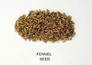 Sweet Fennel Seed