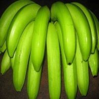 Cavendish Banana