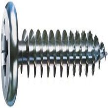 Philips Truss Head Screw