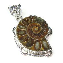 Ammonite Fossil Pendant