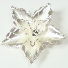 Sterling Silver Pendant