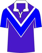 polyester Cricket Uniforms