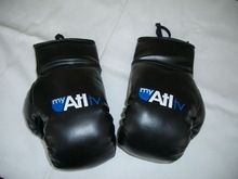 Promotional Boxing Gloves