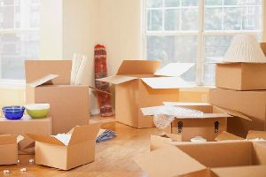 domestic relocation services