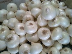 White Onions