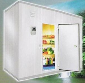 Modular Cold Storage Room