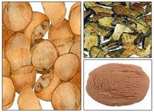 Coconut Shell Powder