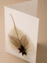 custom made natural skeleton leaf greeting cards