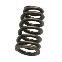 Valve Spring