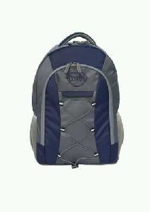 Blue & Grey Laptop Backpack