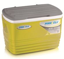 Eskimo Party Cooler Box