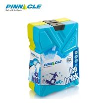 PINNACLE ICE BRICKS BOX