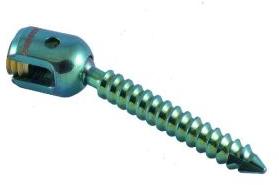 polyaxial screw