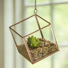 HANGING TERRARIUMS WITH CHAIN