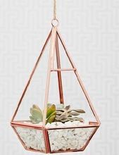 TERRARIUM POT WITH CHORD