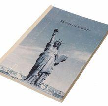 Statue Liberty Cardboard Journal