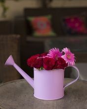 Store Indya Watering Can Handcrafted in Iron