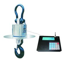 Explosion Proof Crane Scale