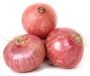 Fresh Onion