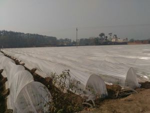 Agriculture Crop Protection Cover