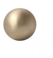 Brass Paperweight