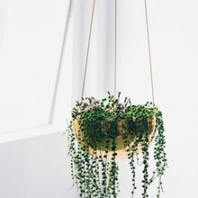 Hanging Brass Flower vase
