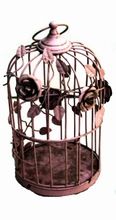 Decorative metal bird cage