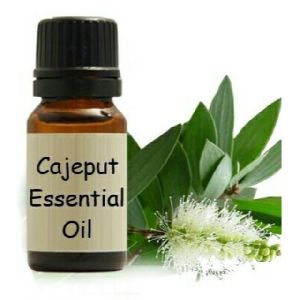 Cajeput Essential Oil