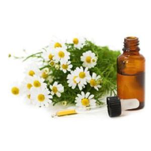 Chamomile German Essential Oil